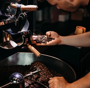 Espresso, Moka oder French Press? Welcher Brühstil passt zu welchen Bohnen?