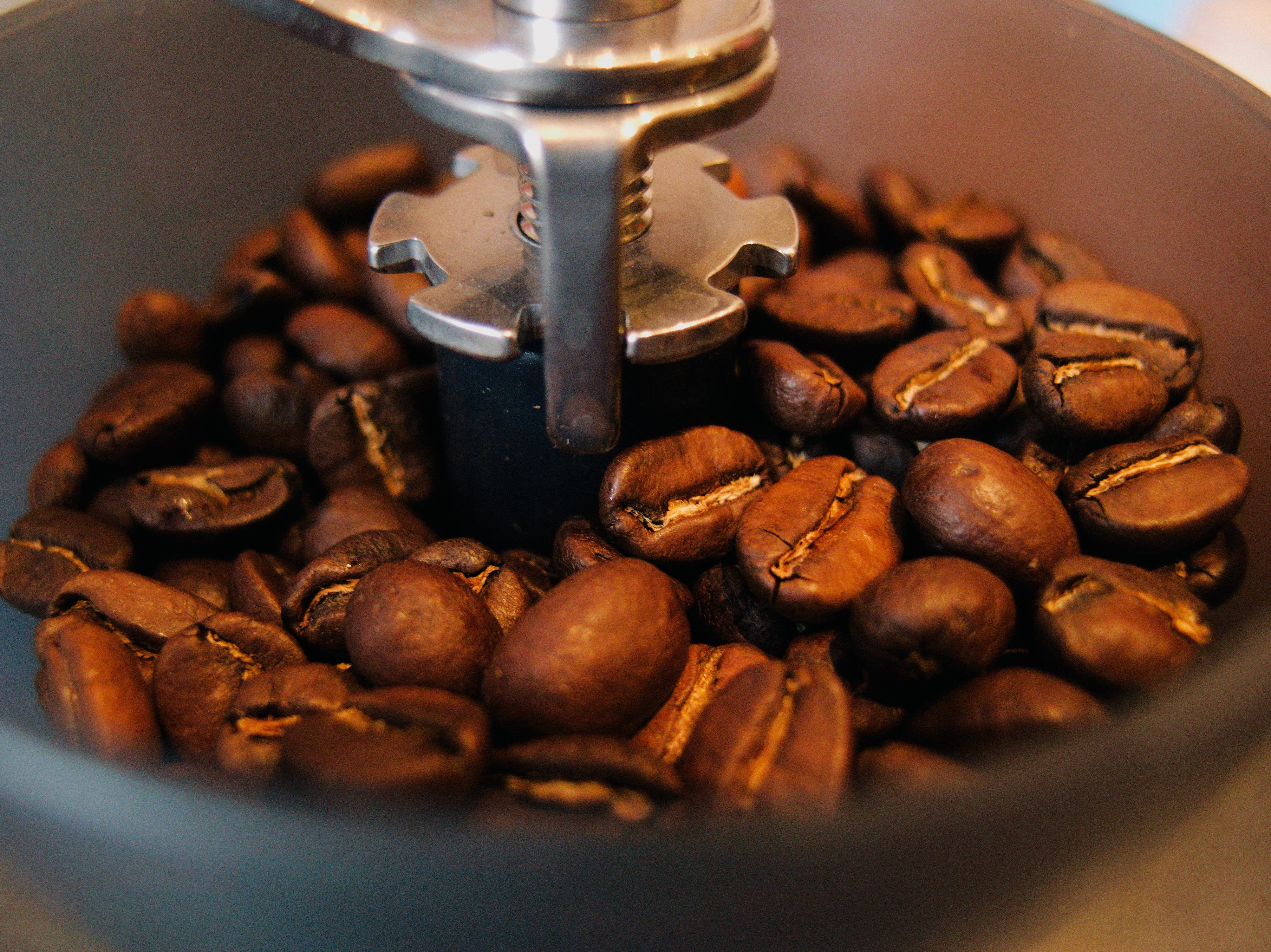 Kaffee-Bohnen